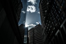 IMG_3387.JPG