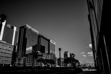 IMG_3353.JPG