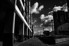 IMG_3464.JPG