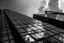 IMG_4432.JPG