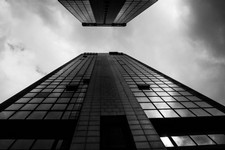 IMG_4446.JPG