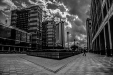 IMG_4529 bw.jpg