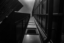 IMG_5169.JPG