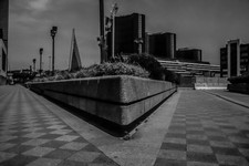 IMG_5202.JPG