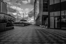 IMG_6168.jpgbw.jpg